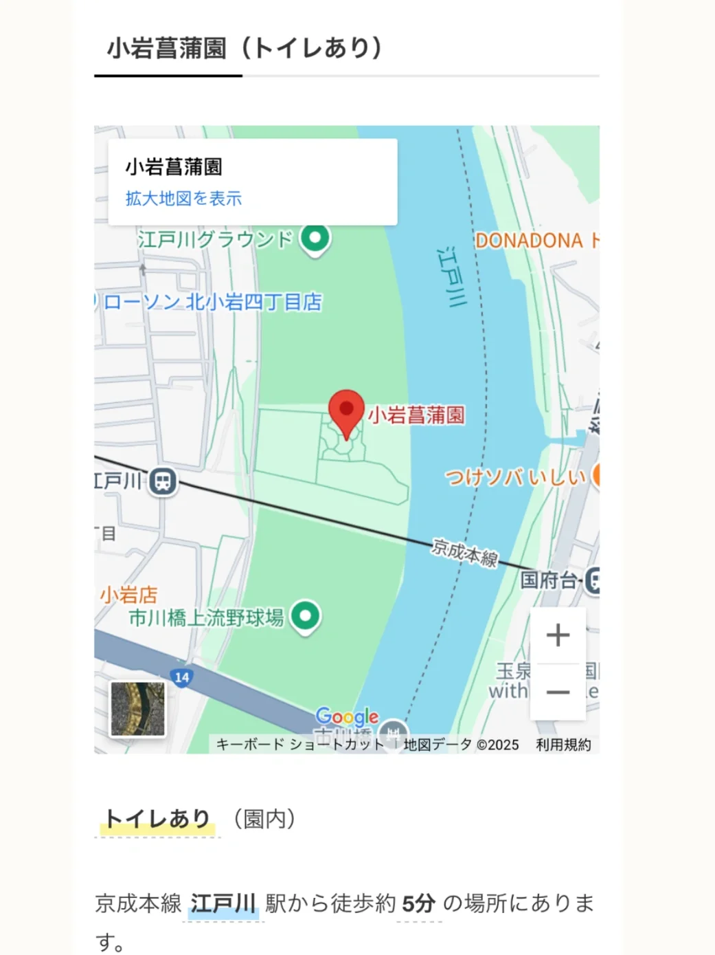 🇯🇵江户川花火大会｜免费位置攻略