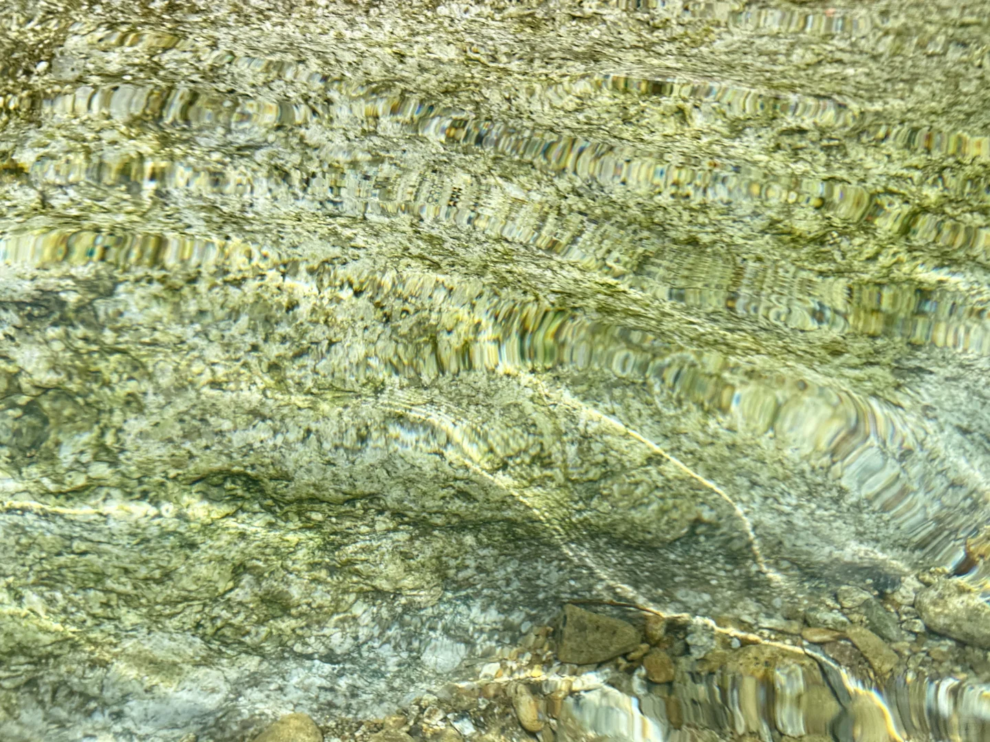 柳州融水｜人生建议！广西人夏天都来这里避暑