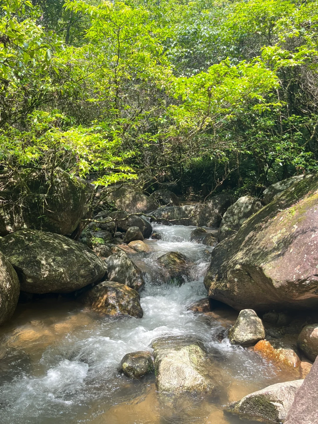 🍃广东秘境｜新丰云髻山