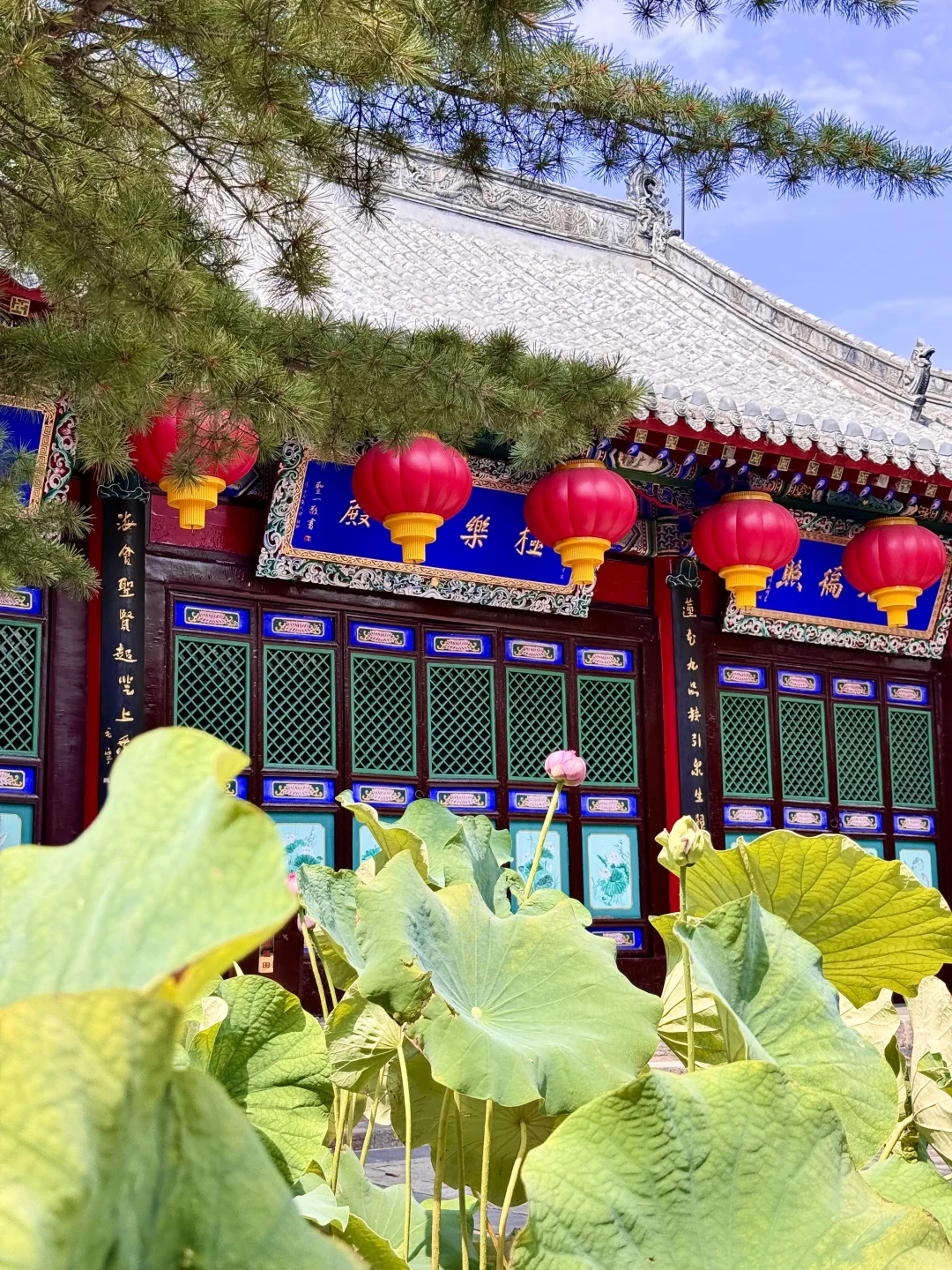 沈阳旅行第一天朋友圈问疯了😂以为我出国了