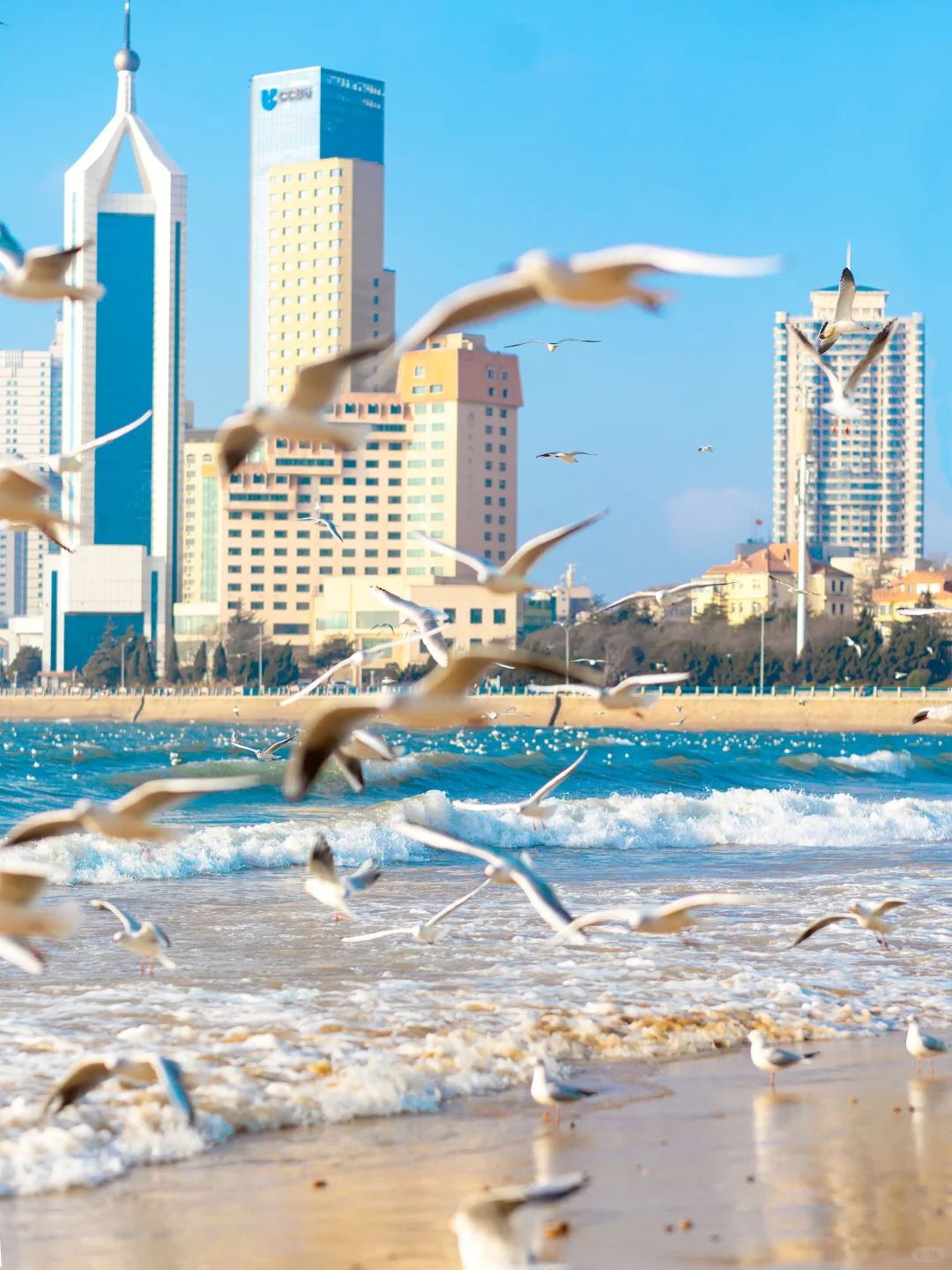 今年为止 | 最靠谱的海边旅游攻略「山东」