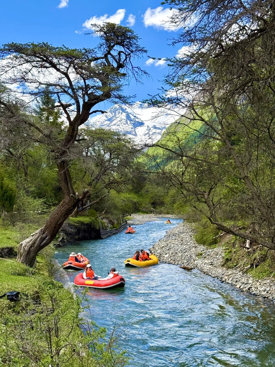 夏季的四姑娘山美成了一幅油画!!!live图