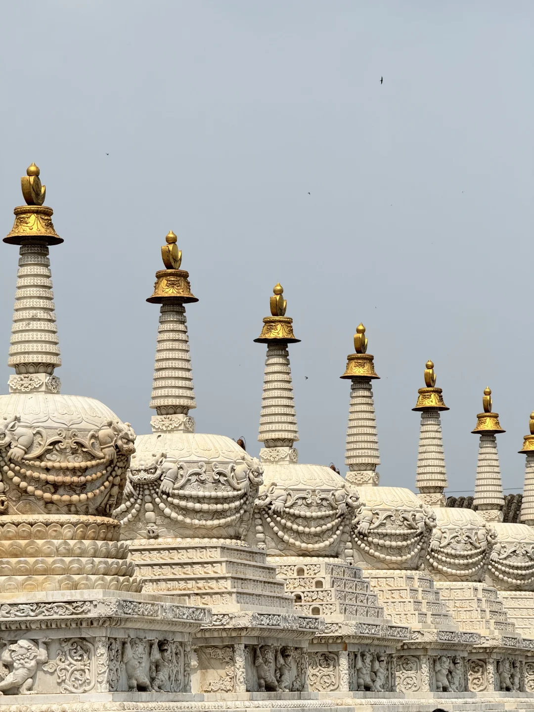 想不到呼和浩特人嘴真严,这么好逛也不宣传