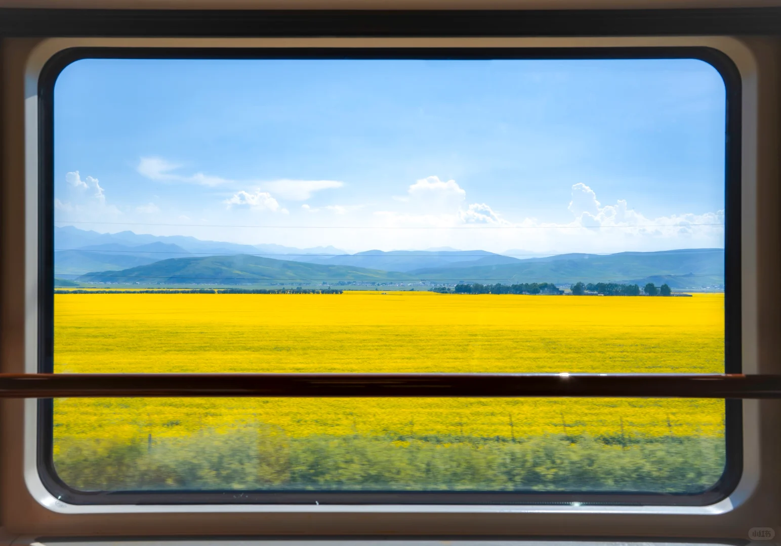 7月份最适合去的小众城市--门源🌼