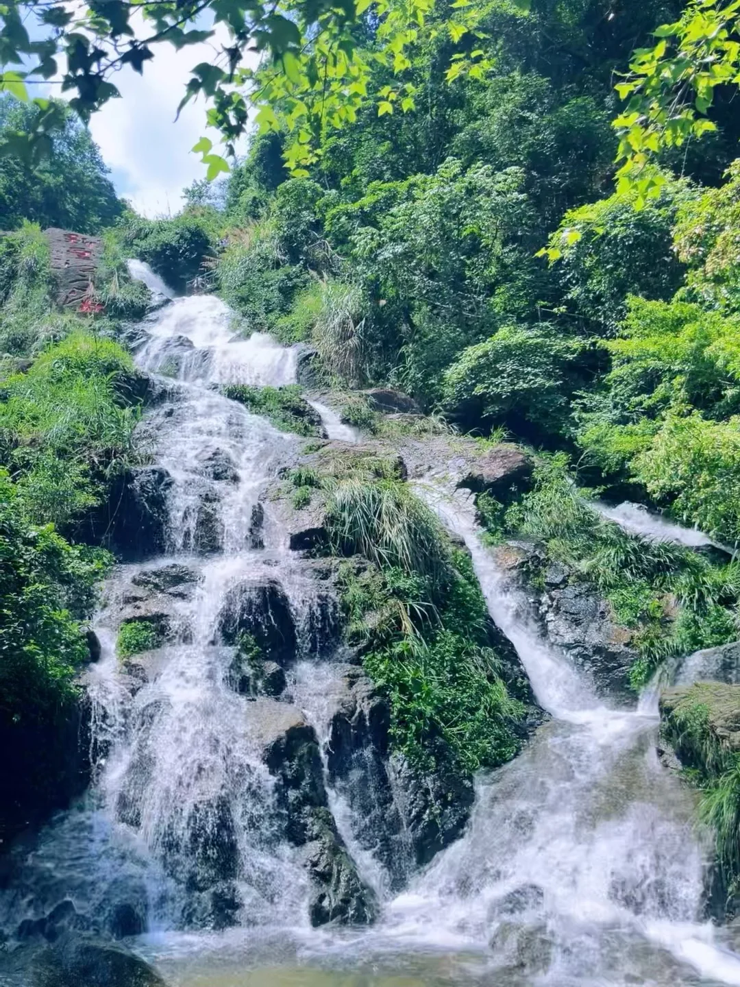 🍃广东秘境｜新丰云髻山