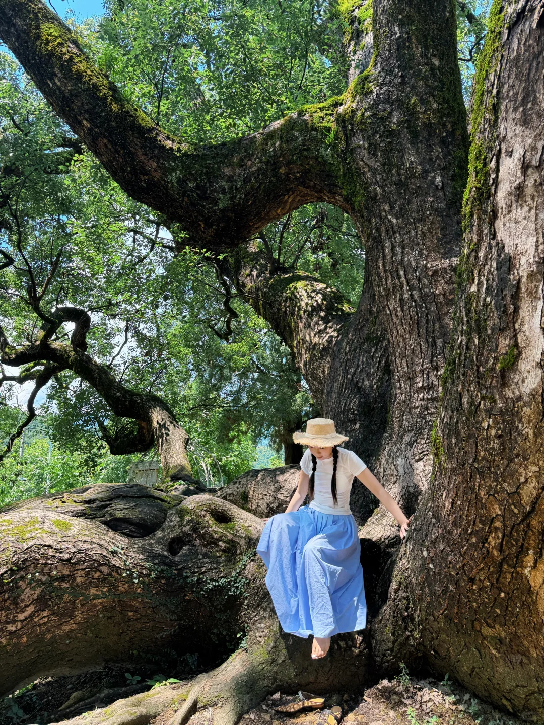 福建小众景区，超级美！