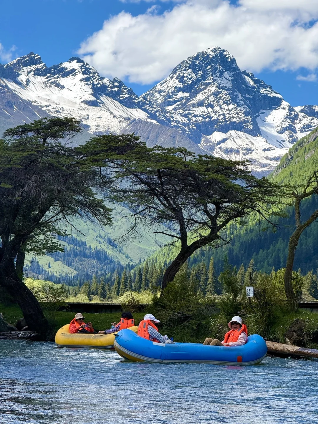 夏季的四姑娘山美成了一幅油画!!!live图