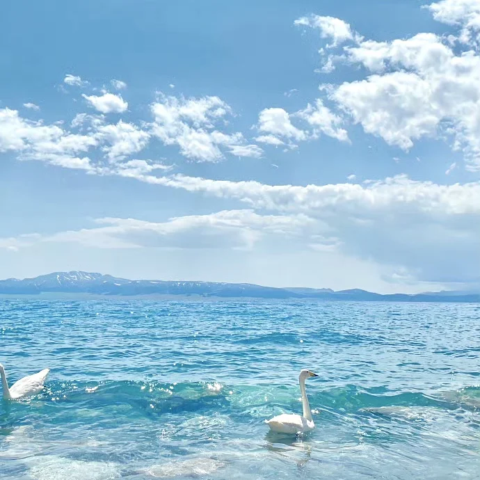 赛里木湖-𝗪𝗲𝗖𝗵𝗮𝘁背景图