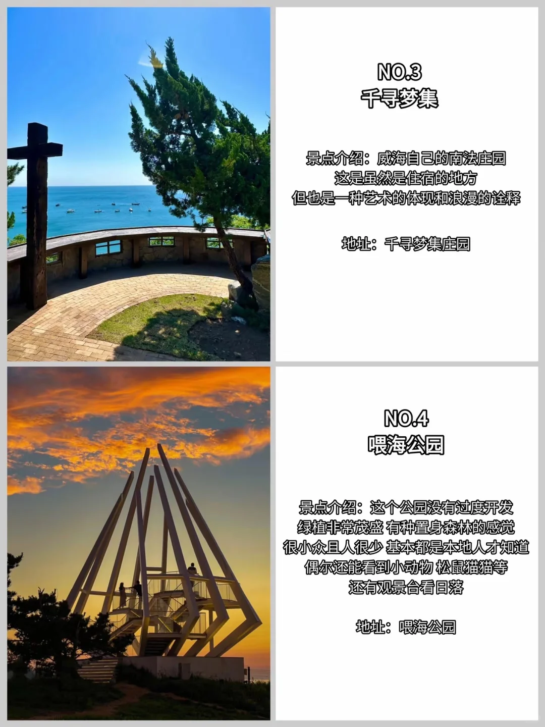 威海冷门天花板❗️避开人潮，独享这片花与海