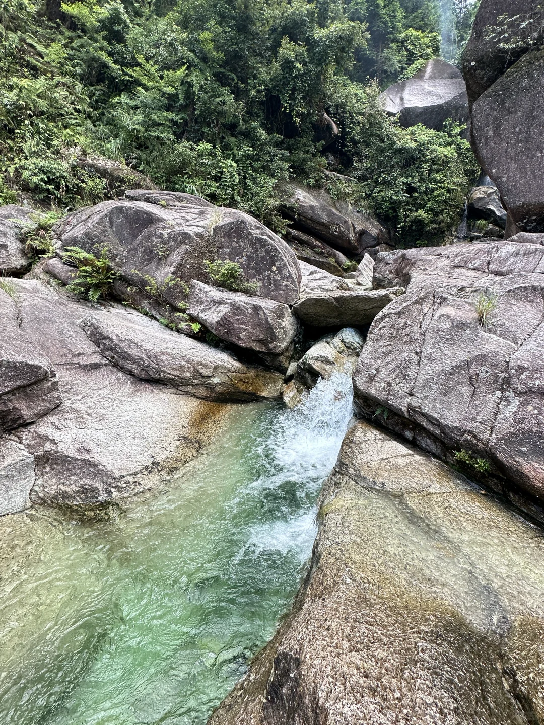 柳州融水｜人生建议！广西人夏天都来这里避暑