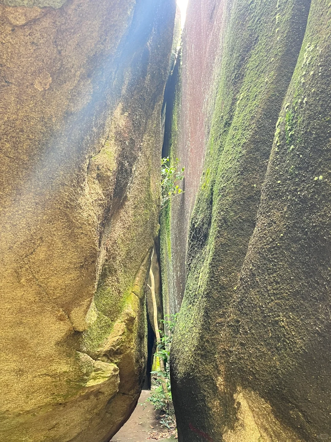 🍃广东秘境｜新丰云髻山