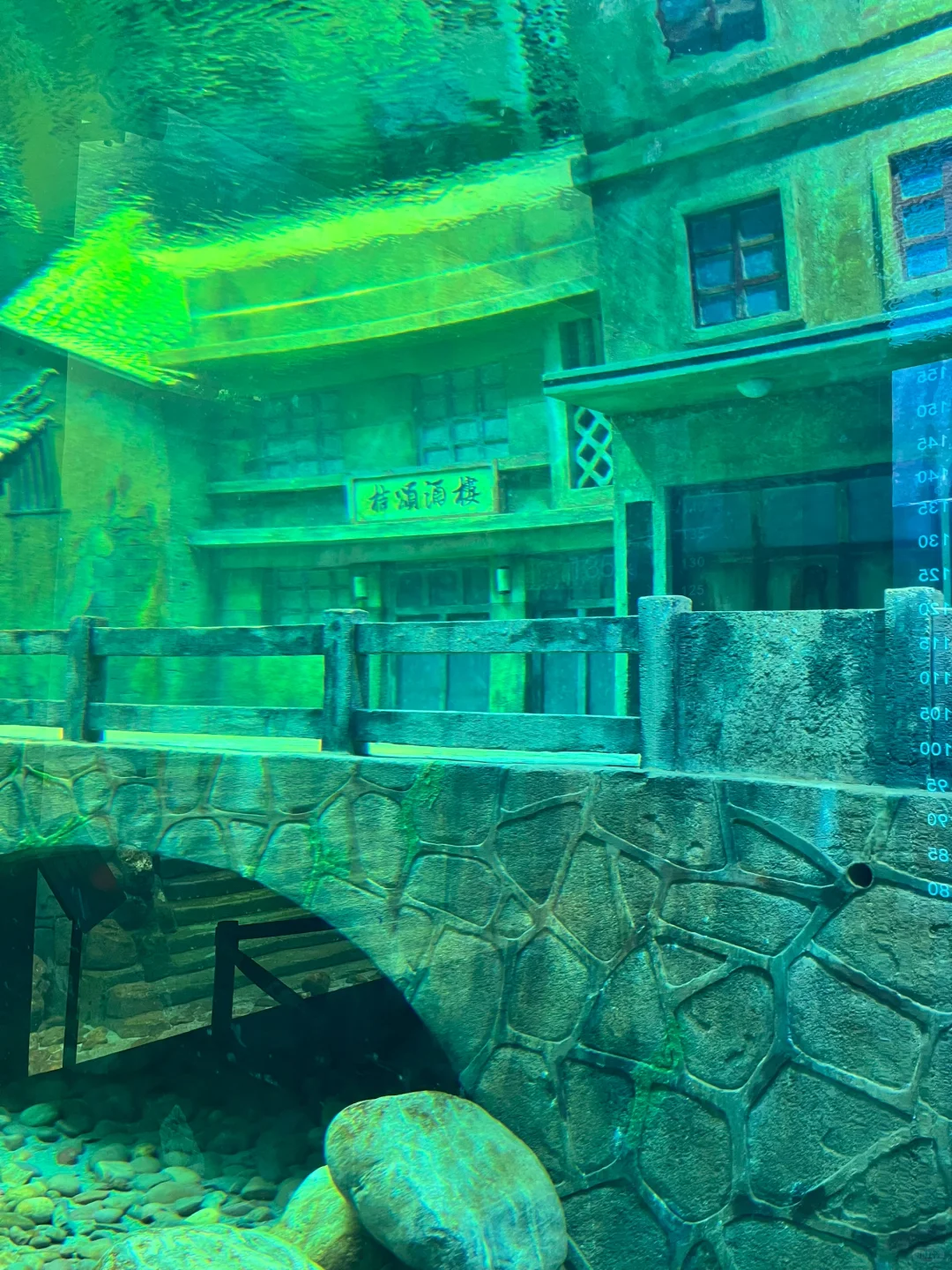 因为一张图去了宜昌，实际……