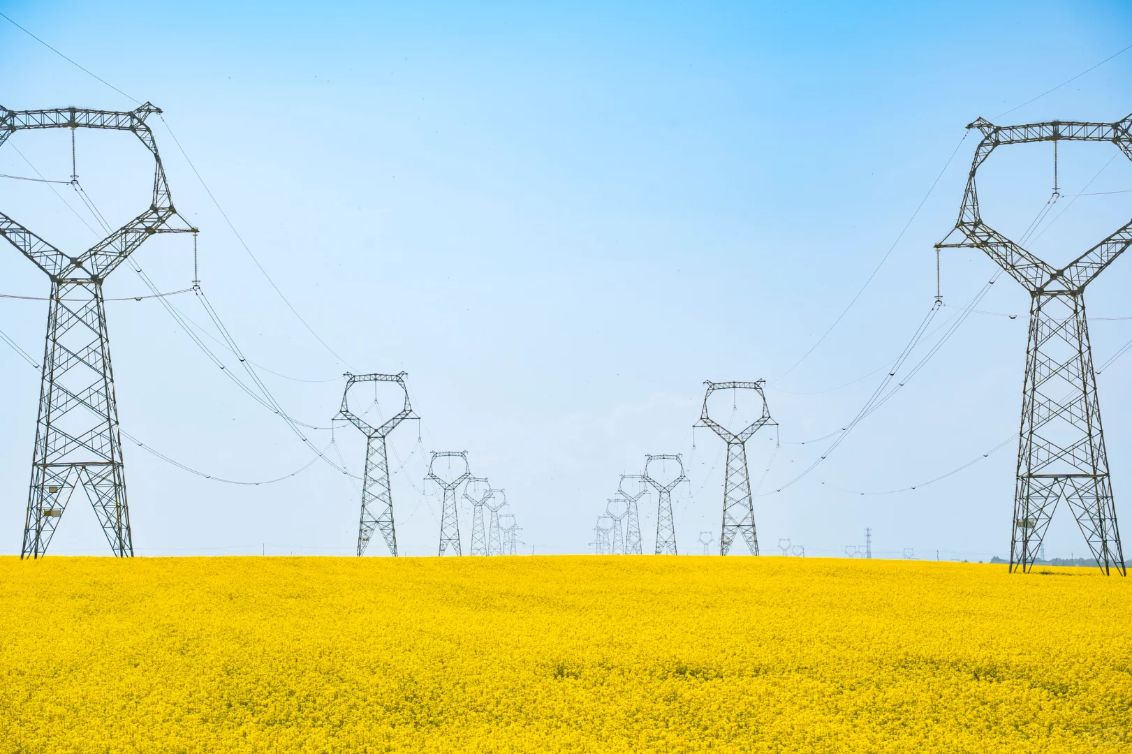 7月份最适合去的小众城市--门源🌼