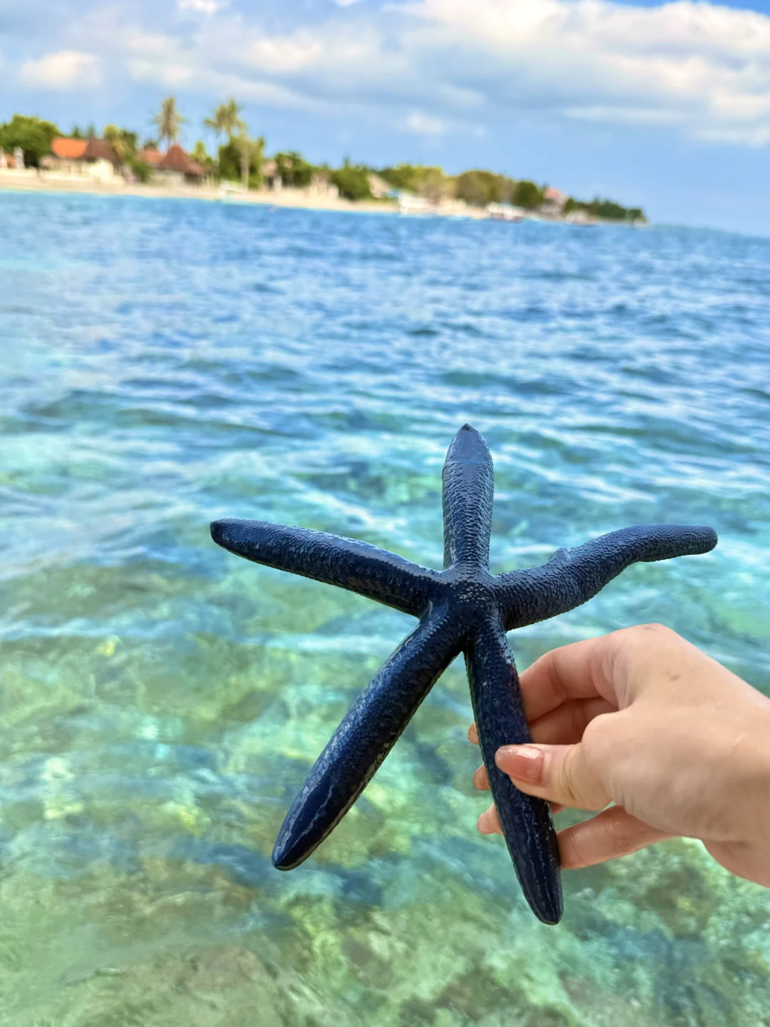 巴厘岛旅游｜喜欢玻璃海里的海葵和珊瑚🪸