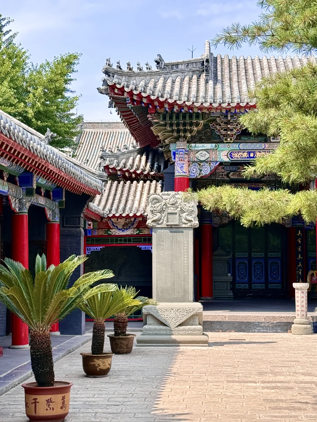 沈阳旅行第一天朋友圈问疯了😂以为我出国了