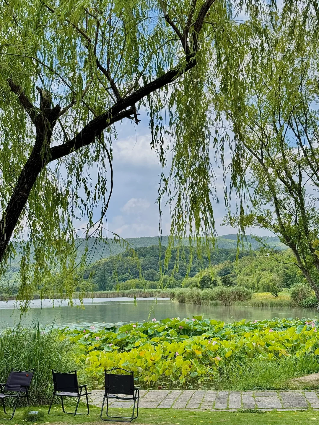 感谢🙏余华！！！这个小镇真的很美……