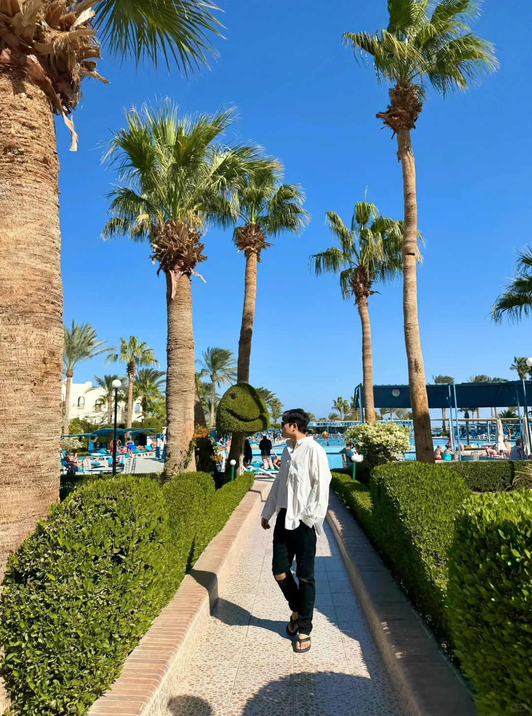 淡季的埃及简直是人间理想🥰（附照相机位）