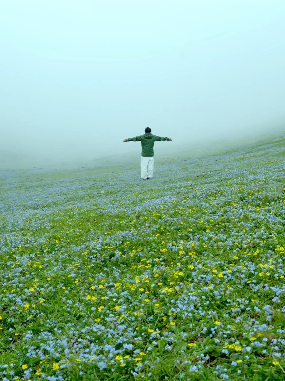 为了这18张图，我特意飞了一趟云南…