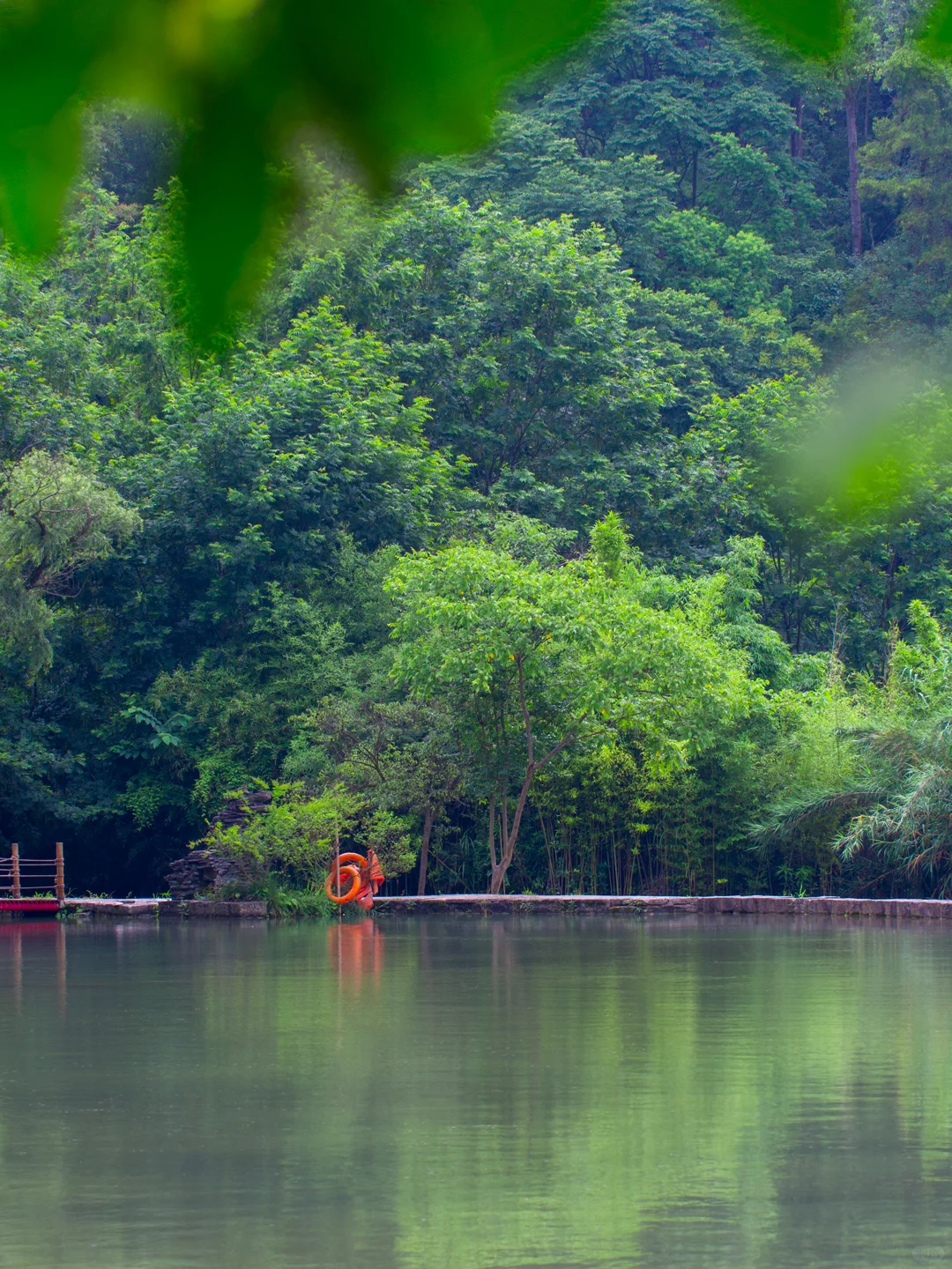 贵州贵阳｜喀斯特风貌｜山水盆景，亦画亦园