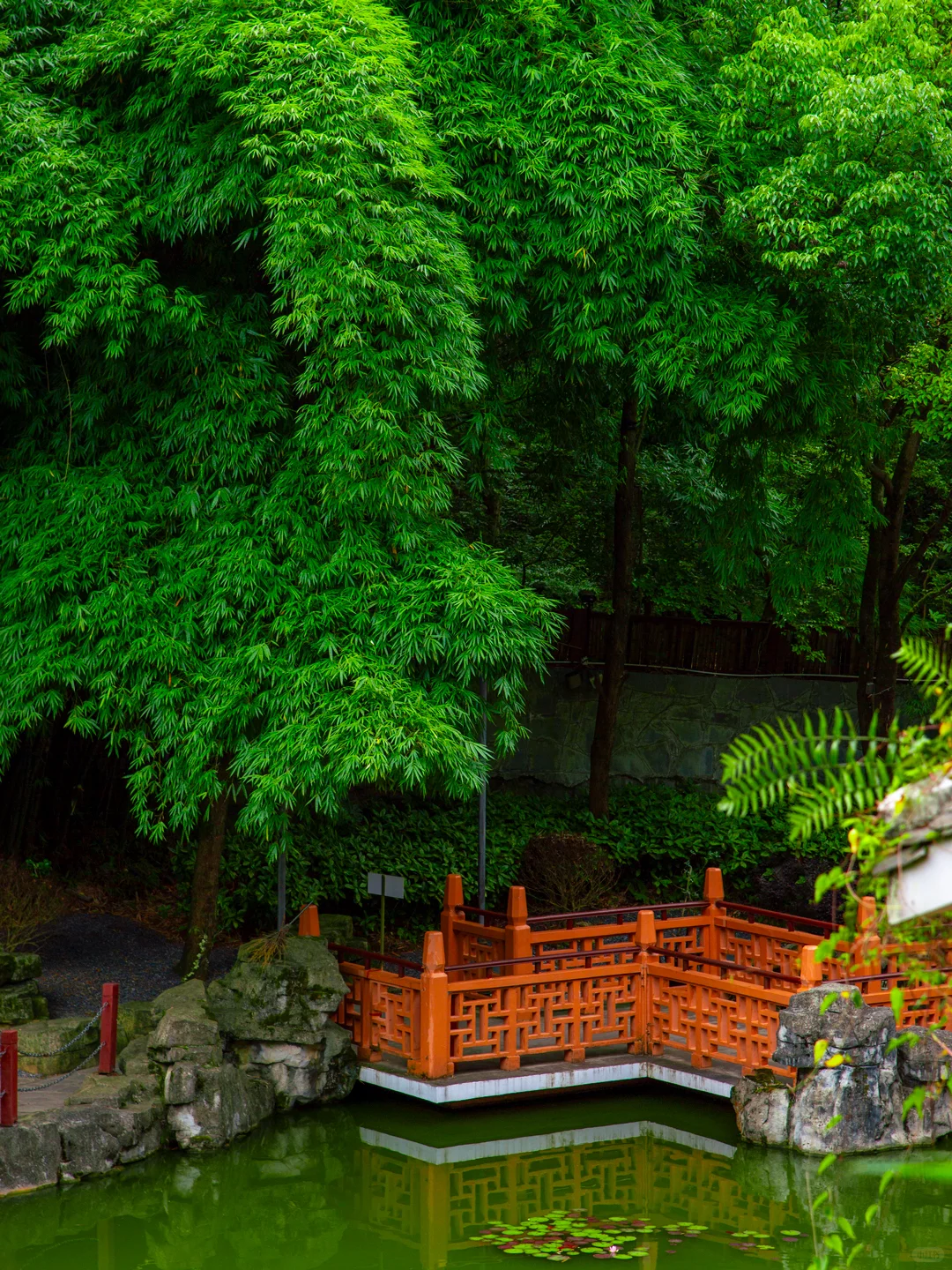 贵州贵阳｜喀斯特风貌｜山水盆景，亦画亦园