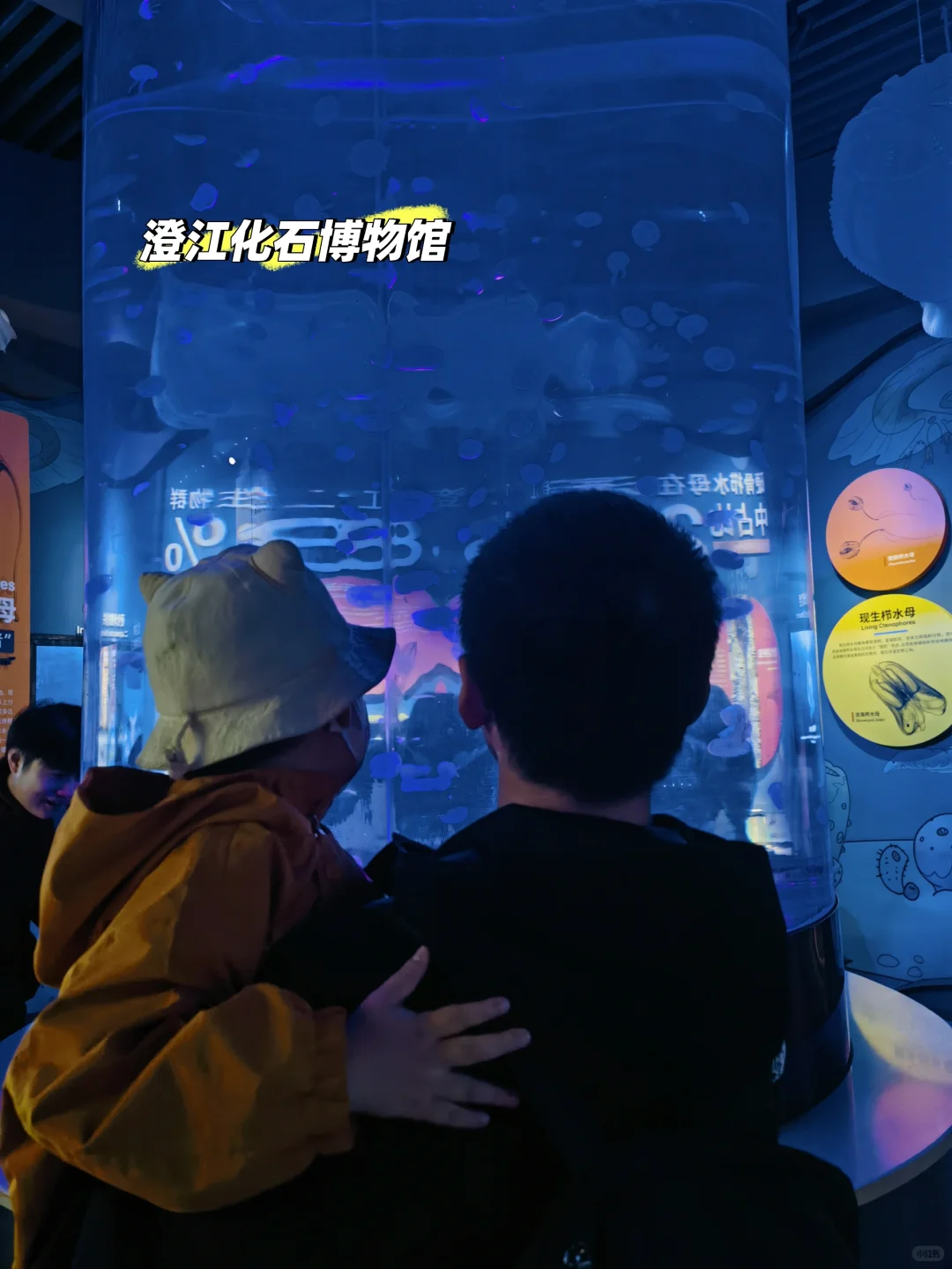 云南之行—玉溪（抚仙湖）