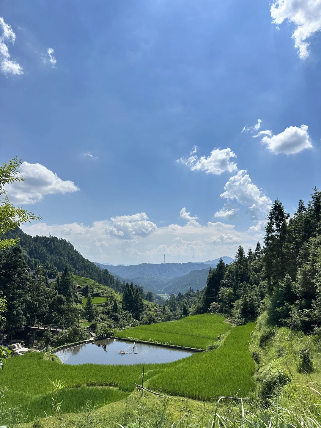 柳州融水｜人生建议！广西人夏天都来这里避暑