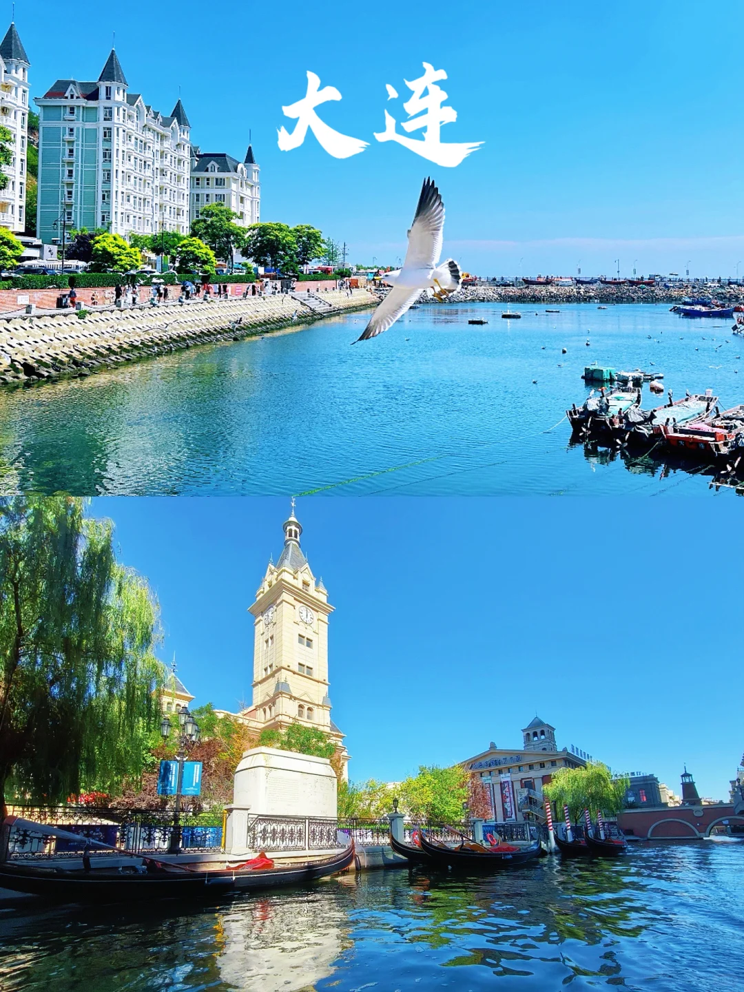 暑假游｜国内必去5个海滨城市｜超适合带娃去