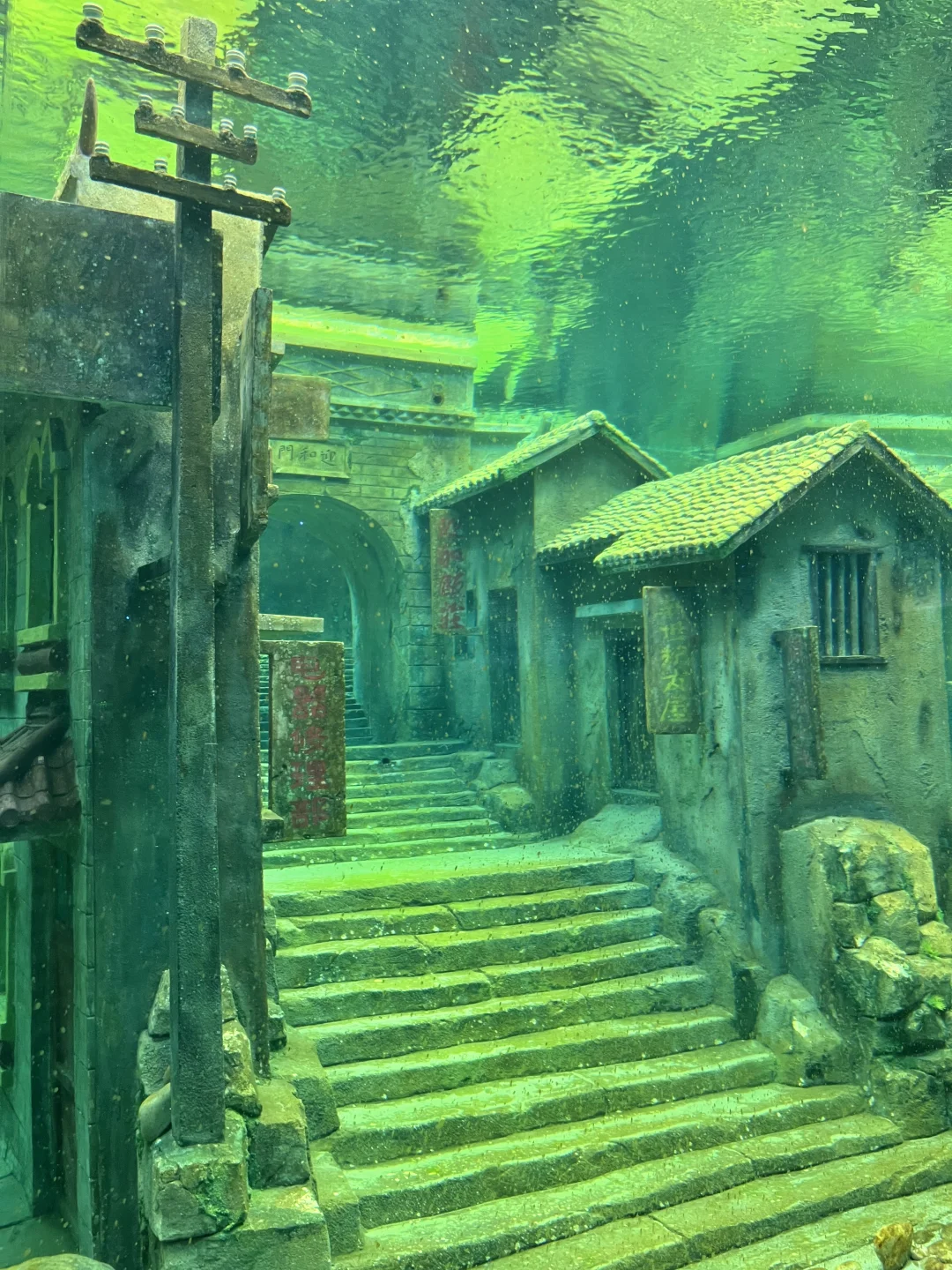 因为一张图去了宜昌，实际……