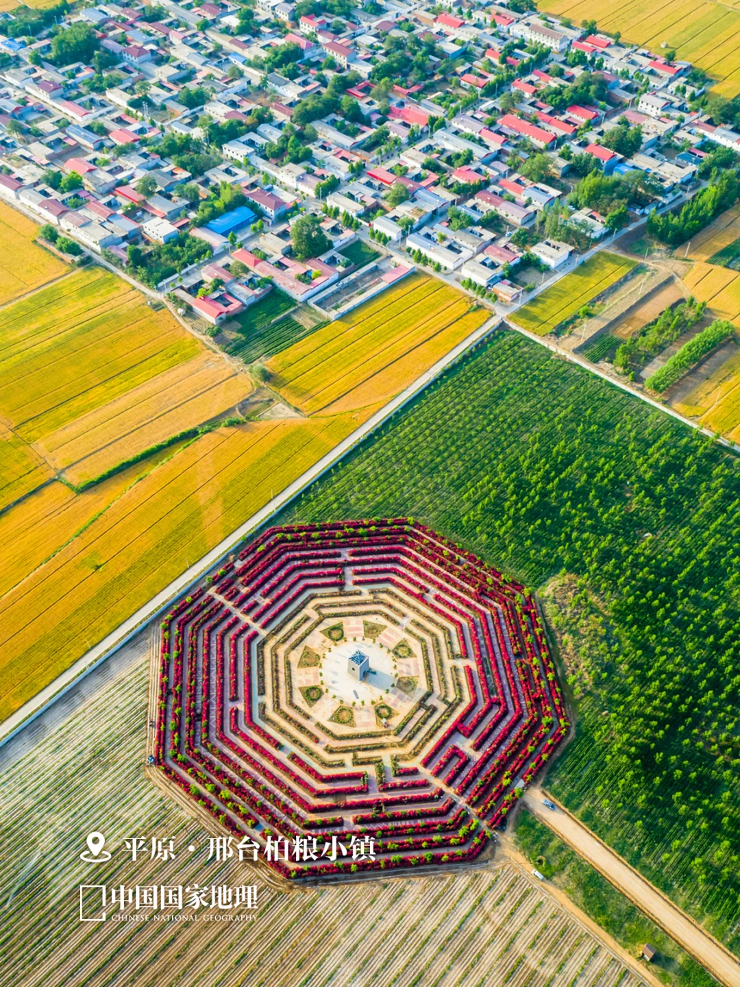 这么近，那么美，周末到 ______ ?