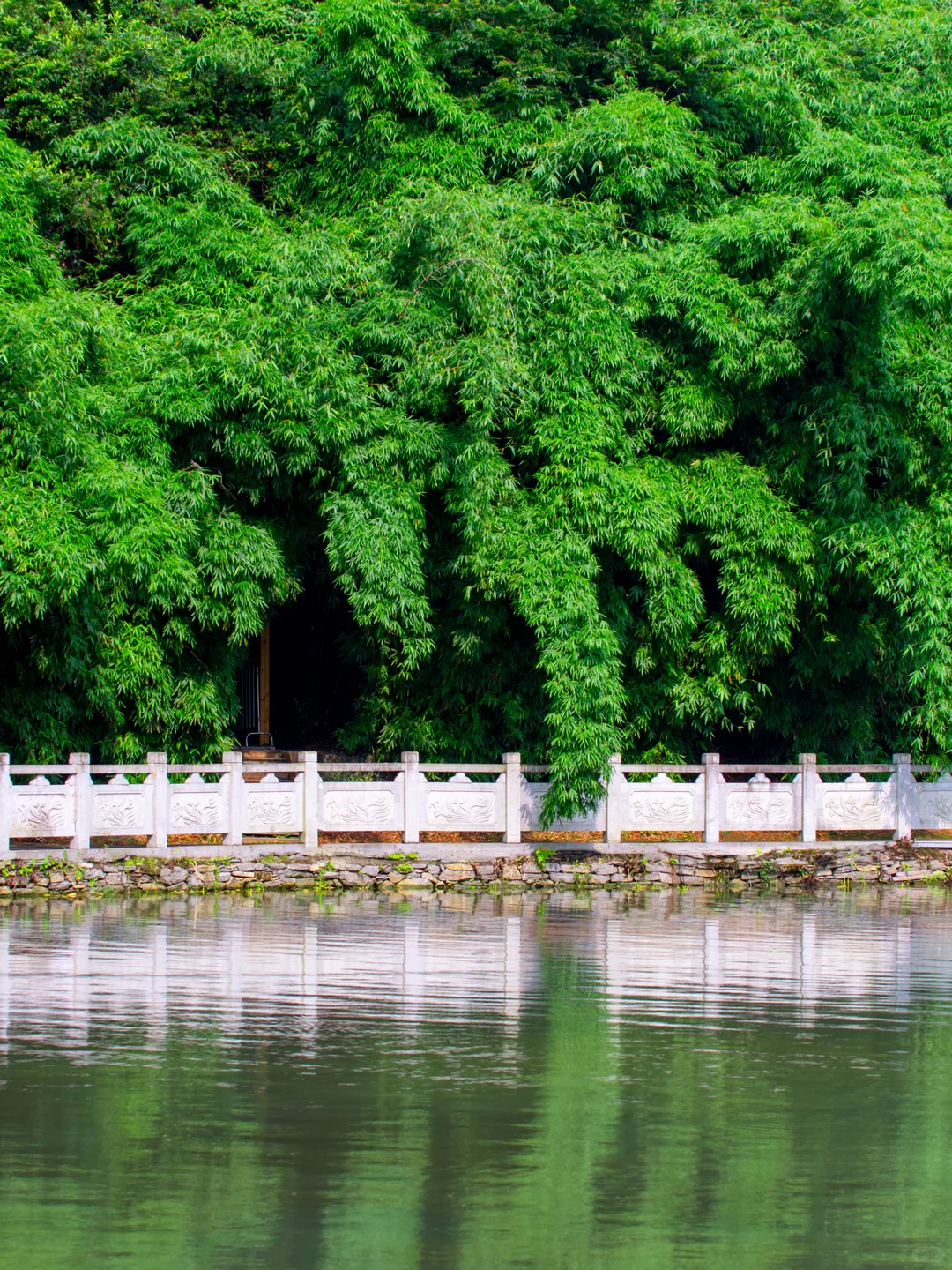 贵州贵阳｜喀斯特风貌｜山水盆景，亦画亦园