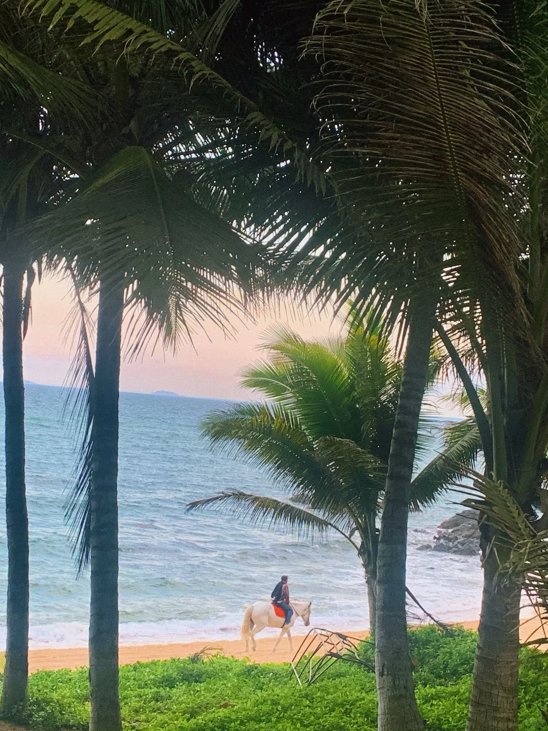 整个海南，都是我的度假区🌊