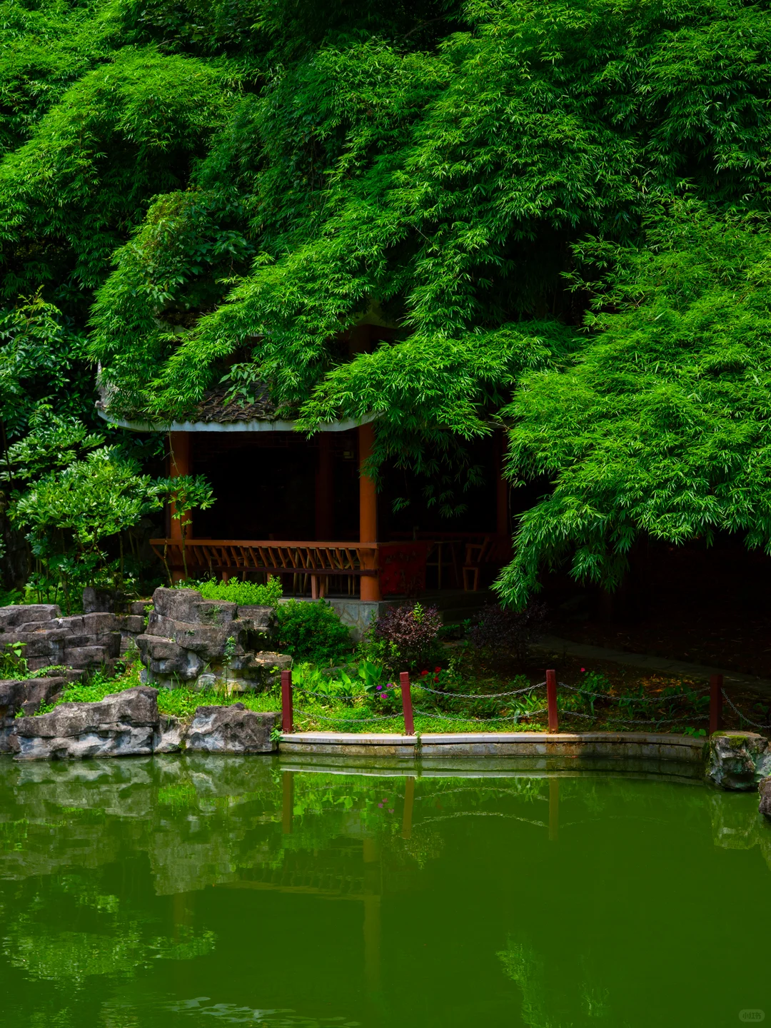 贵州贵阳｜喀斯特风貌｜山水盆景，亦画亦园