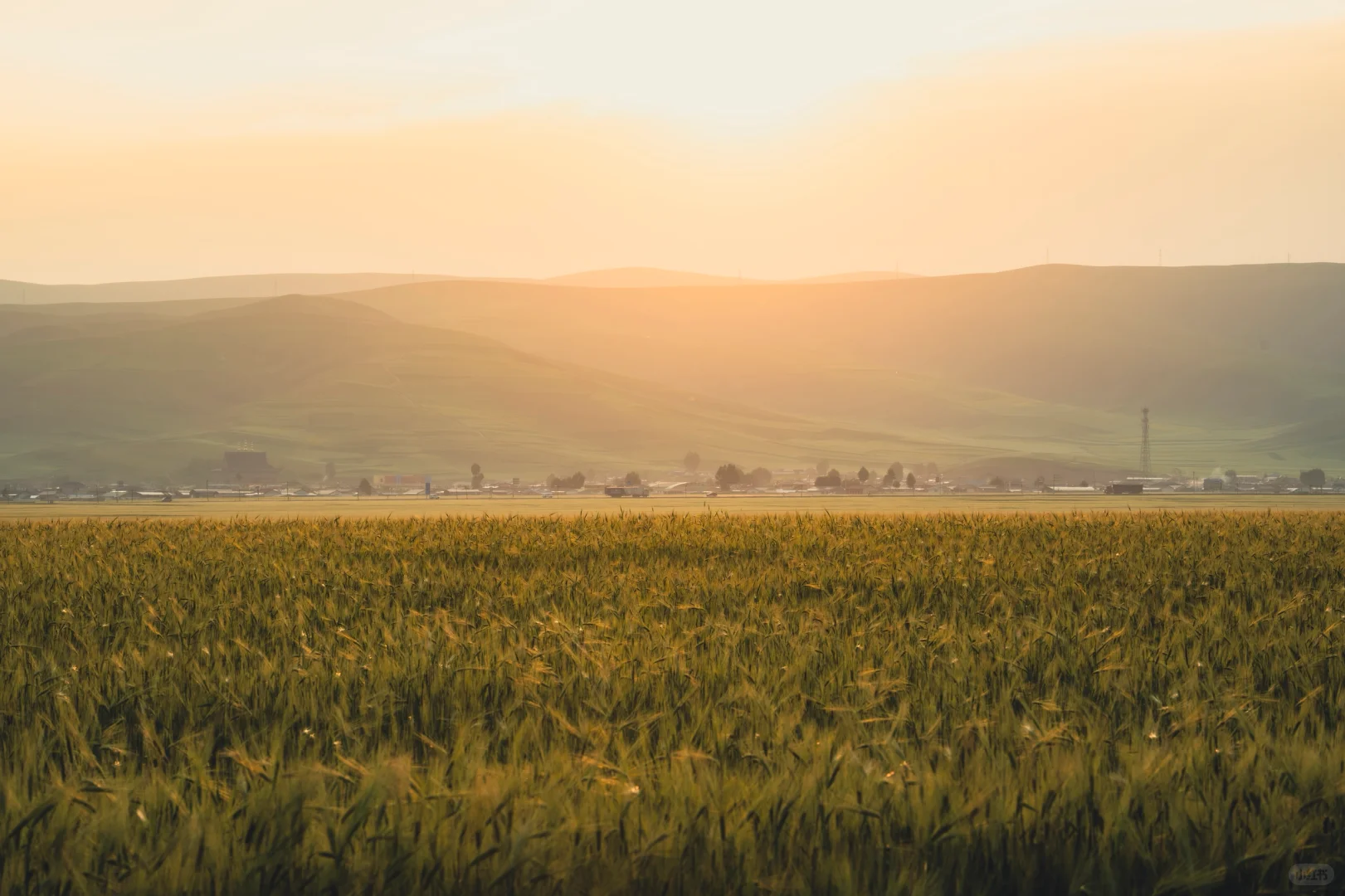 7月份最适合去的小众城市--门源🌼
