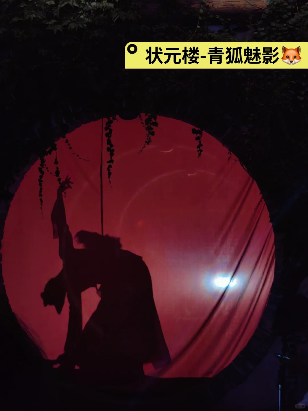 犁桥水镇旅游攻略‖来犁桥看青砖黛瓦马头墙