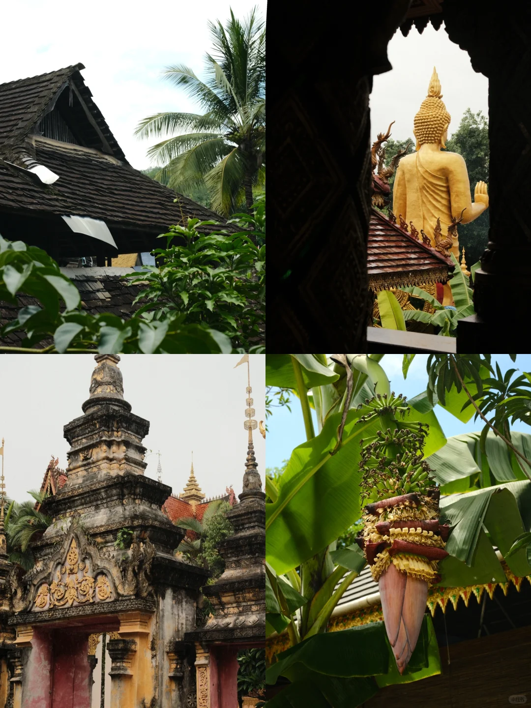 西双版纳如果不走景点...