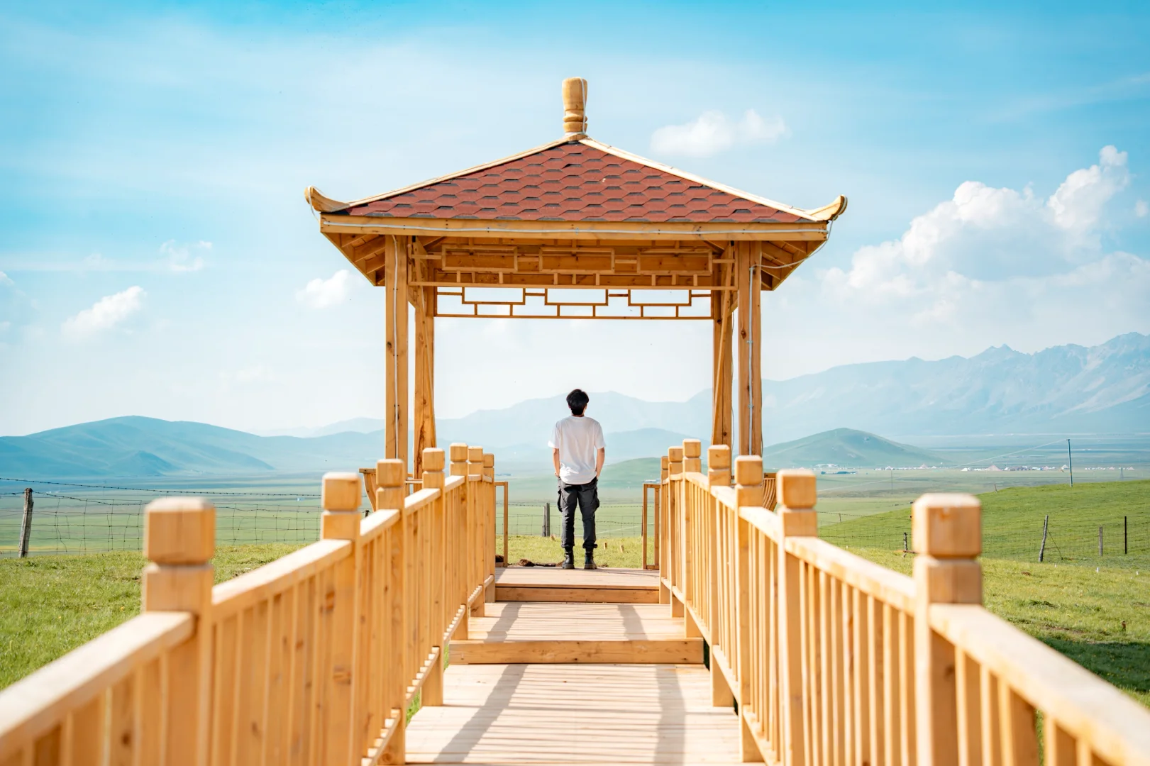 7月份最适合去的小众城市--门源🌼