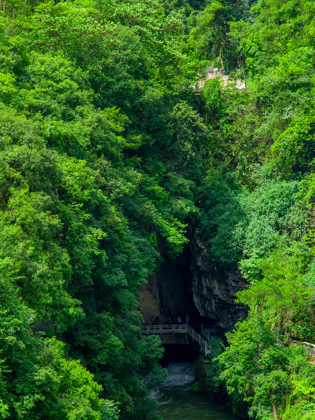 贵州贵阳｜喀斯特风貌｜山水盆景，亦画亦园