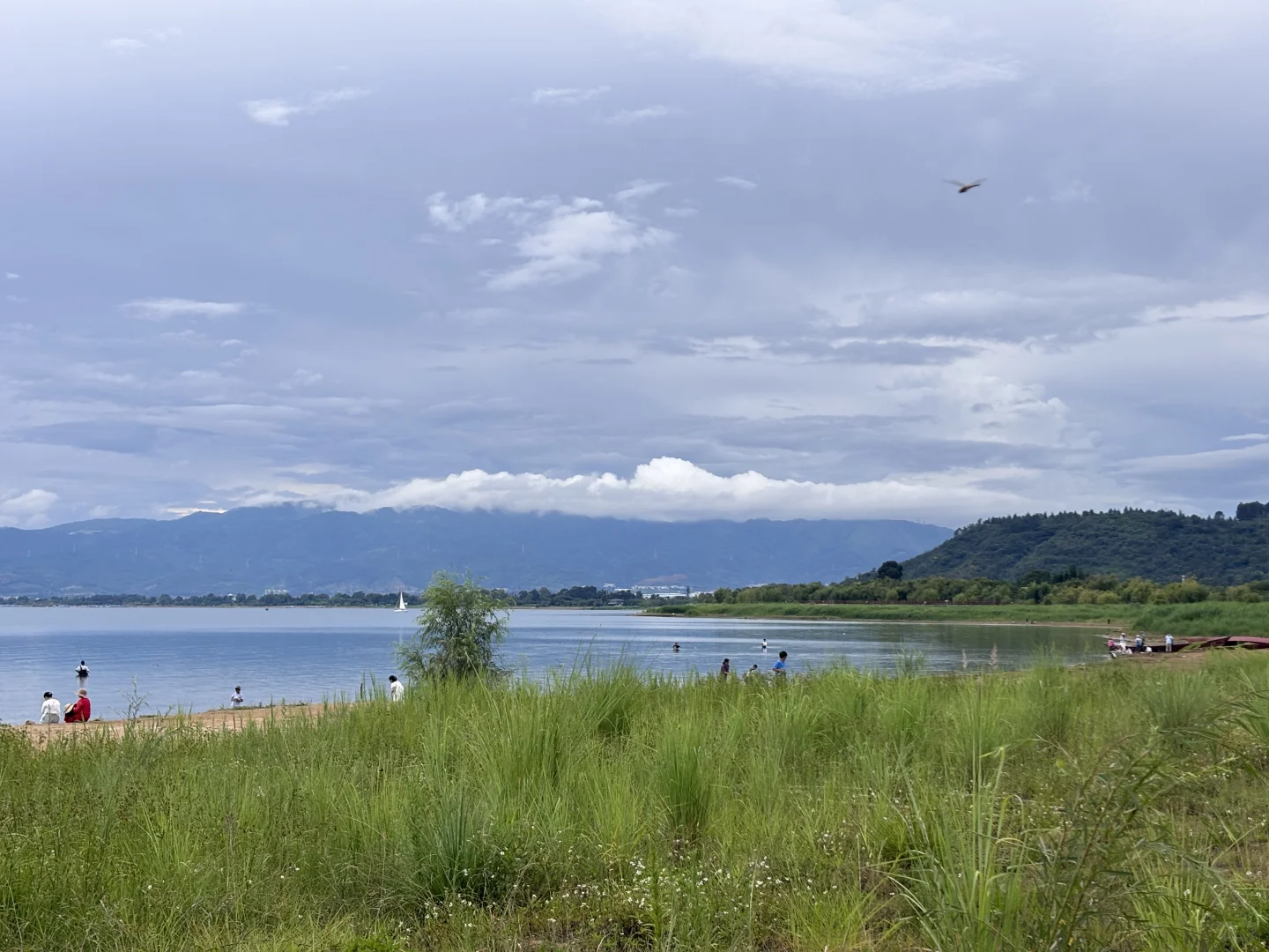 抚仙湖这个景点含金量突然就上升了