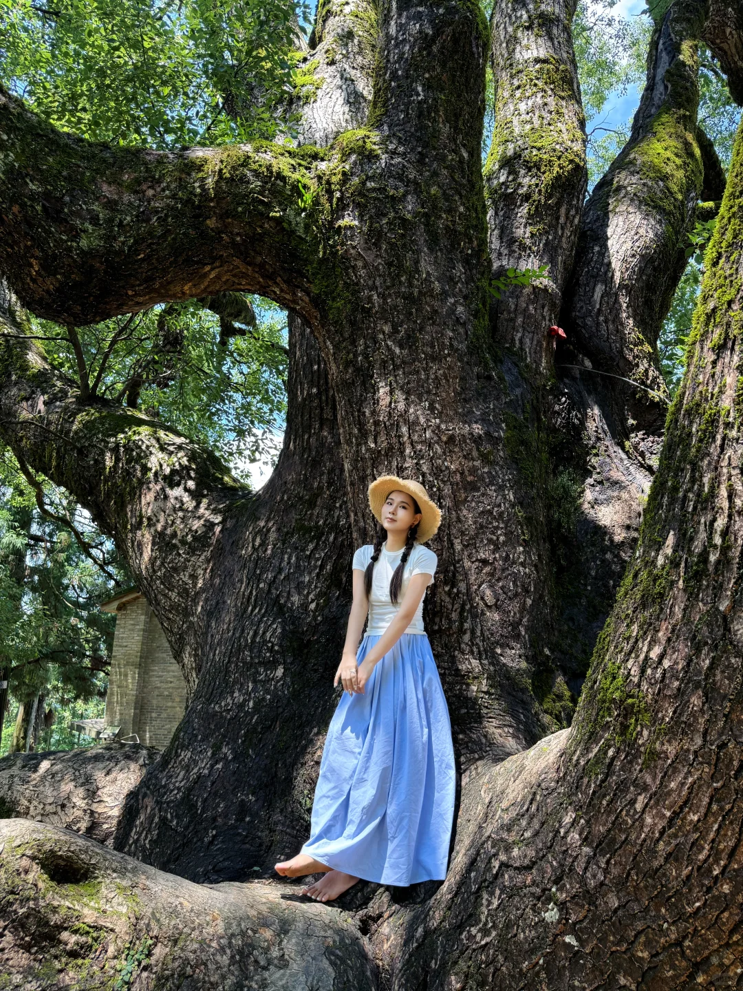 福建小众景区，超级美！