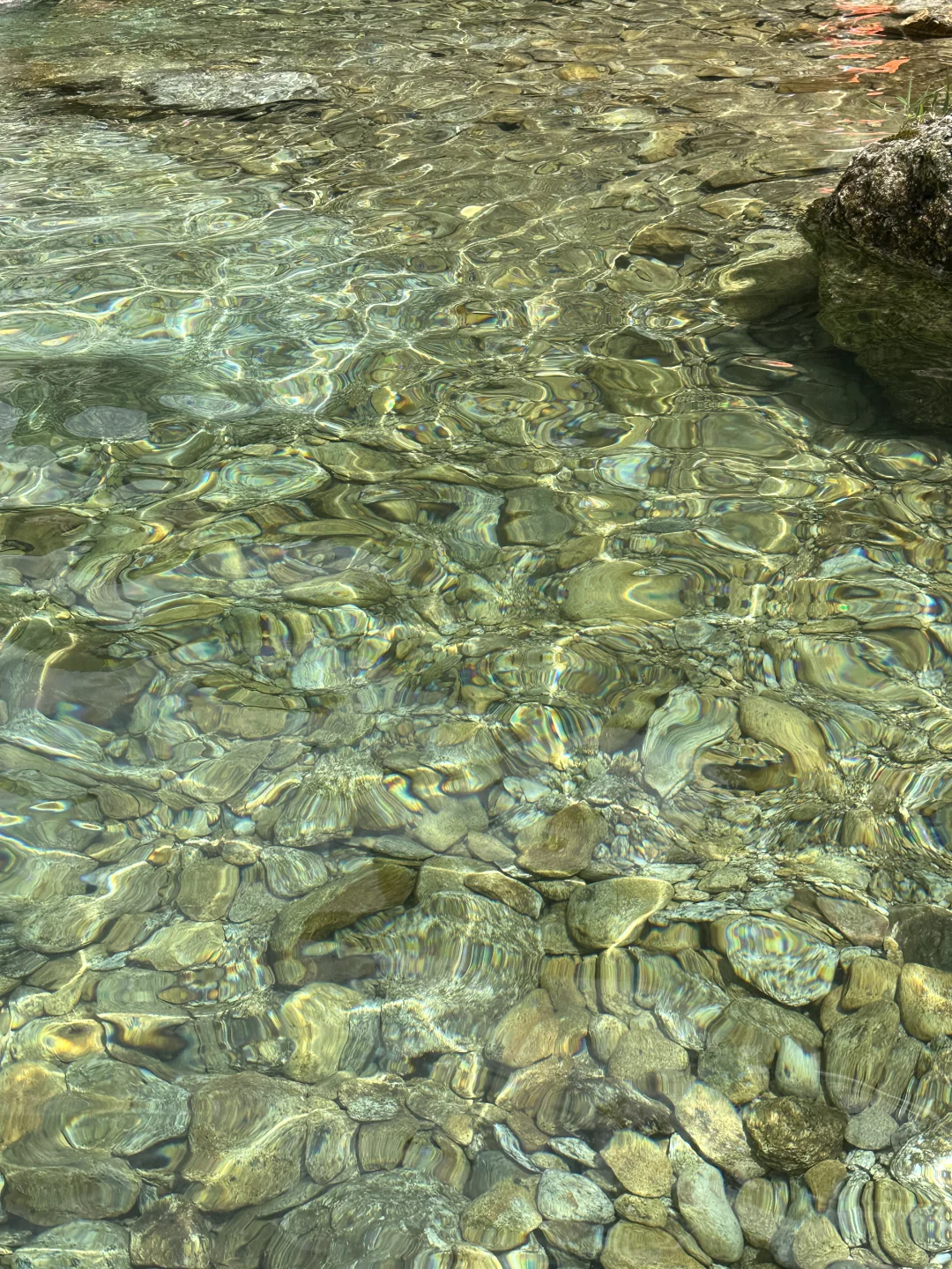 柳州融水｜人生建议！广西人夏天都来这里避暑