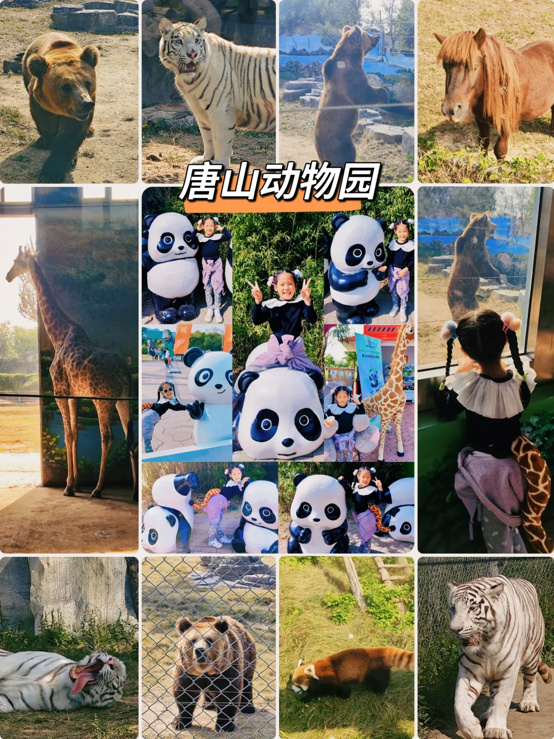 逃离北京❗挑战每周出去浪🚄1H📍唐山