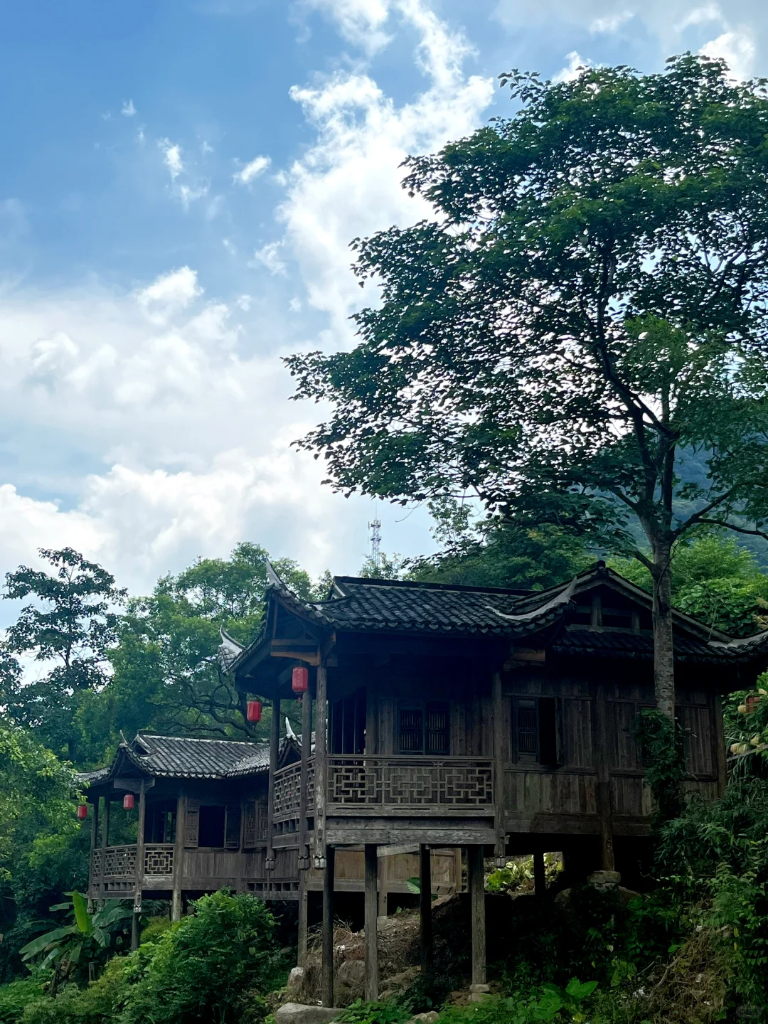 🍃广东秘境｜新丰云髻山