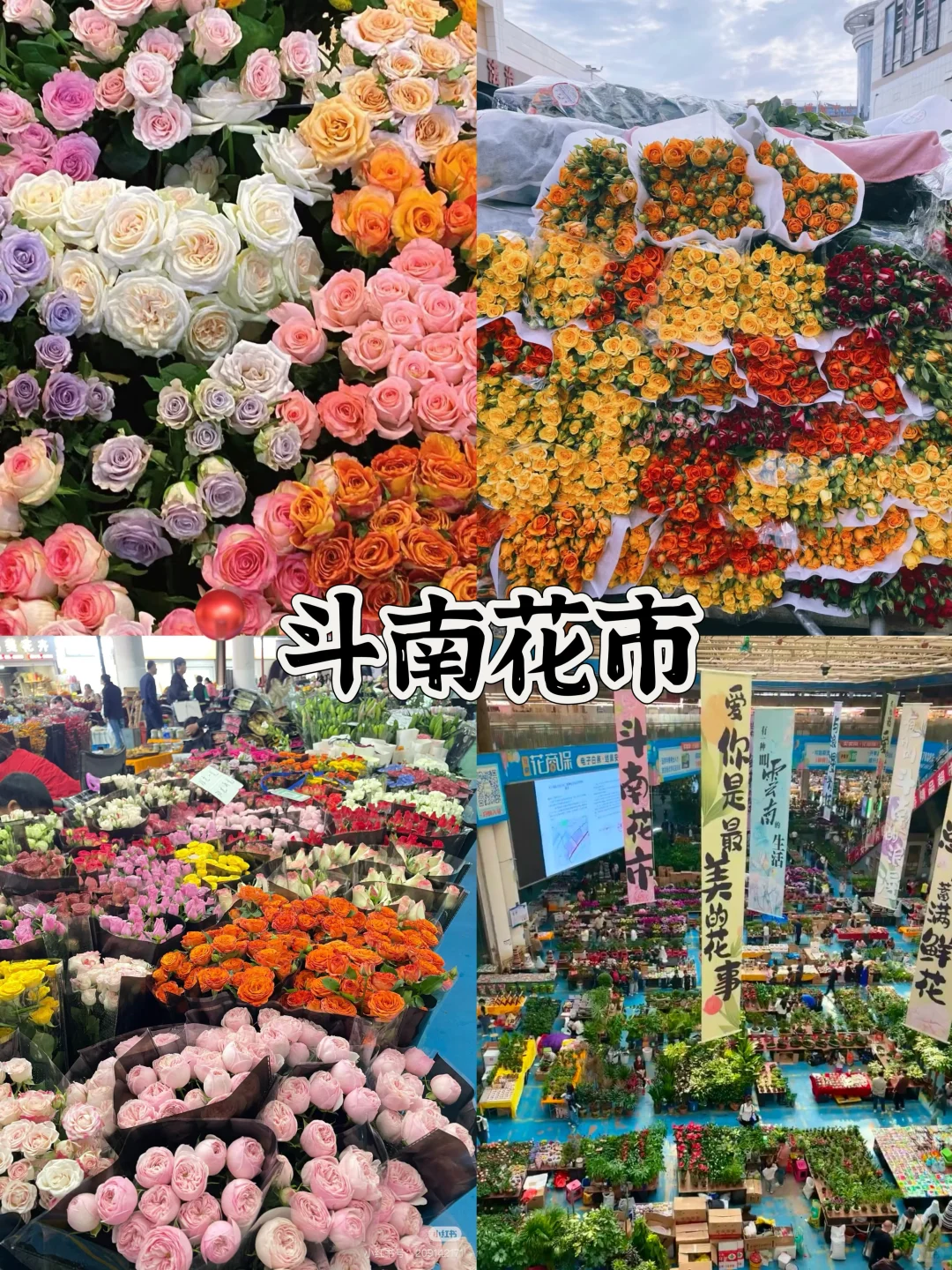 昆明必去的十大景点🔥朋友圈夸爆了‼️