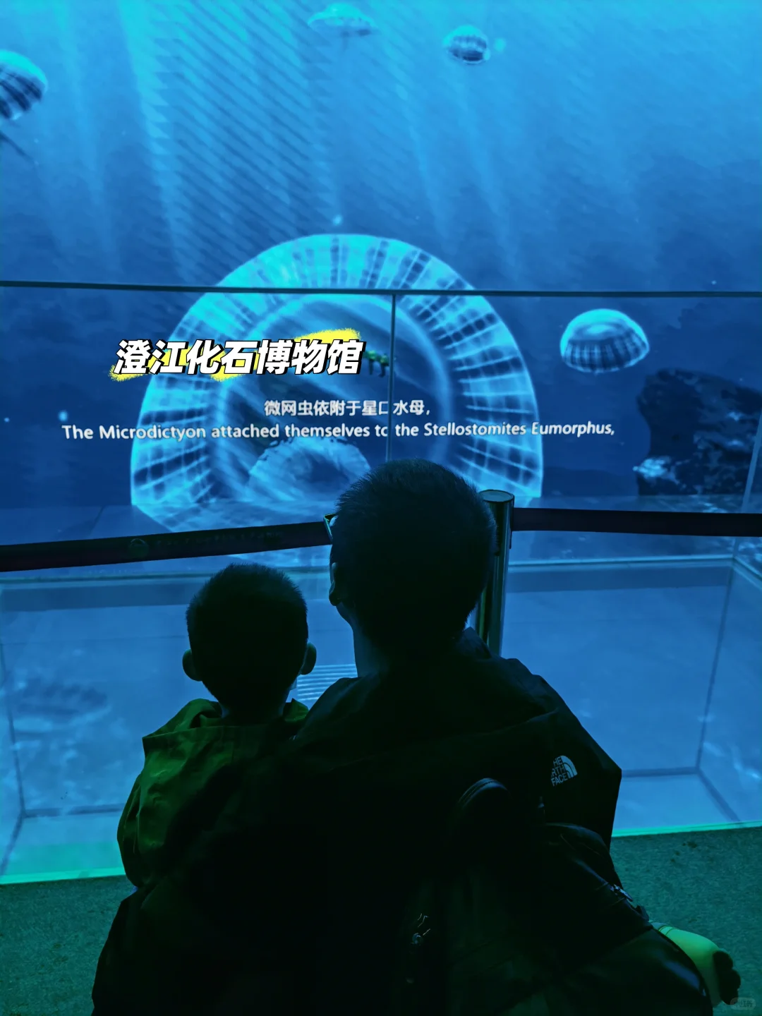 云南之行—玉溪（抚仙湖）