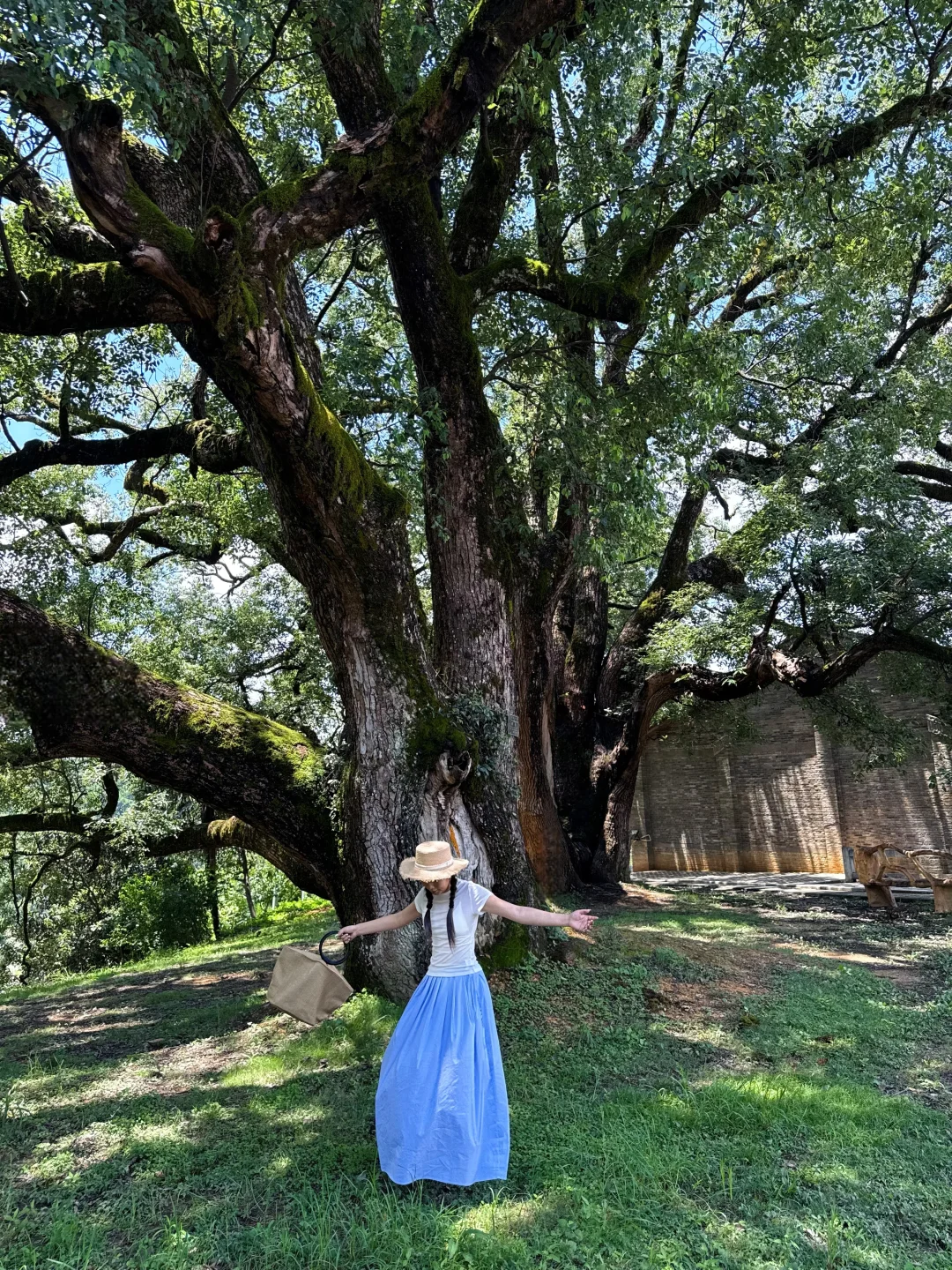 福建小众景区，超级美！