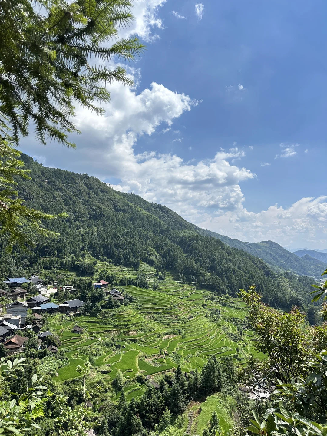 柳州融水｜人生建议！广西人夏天都来这里避暑