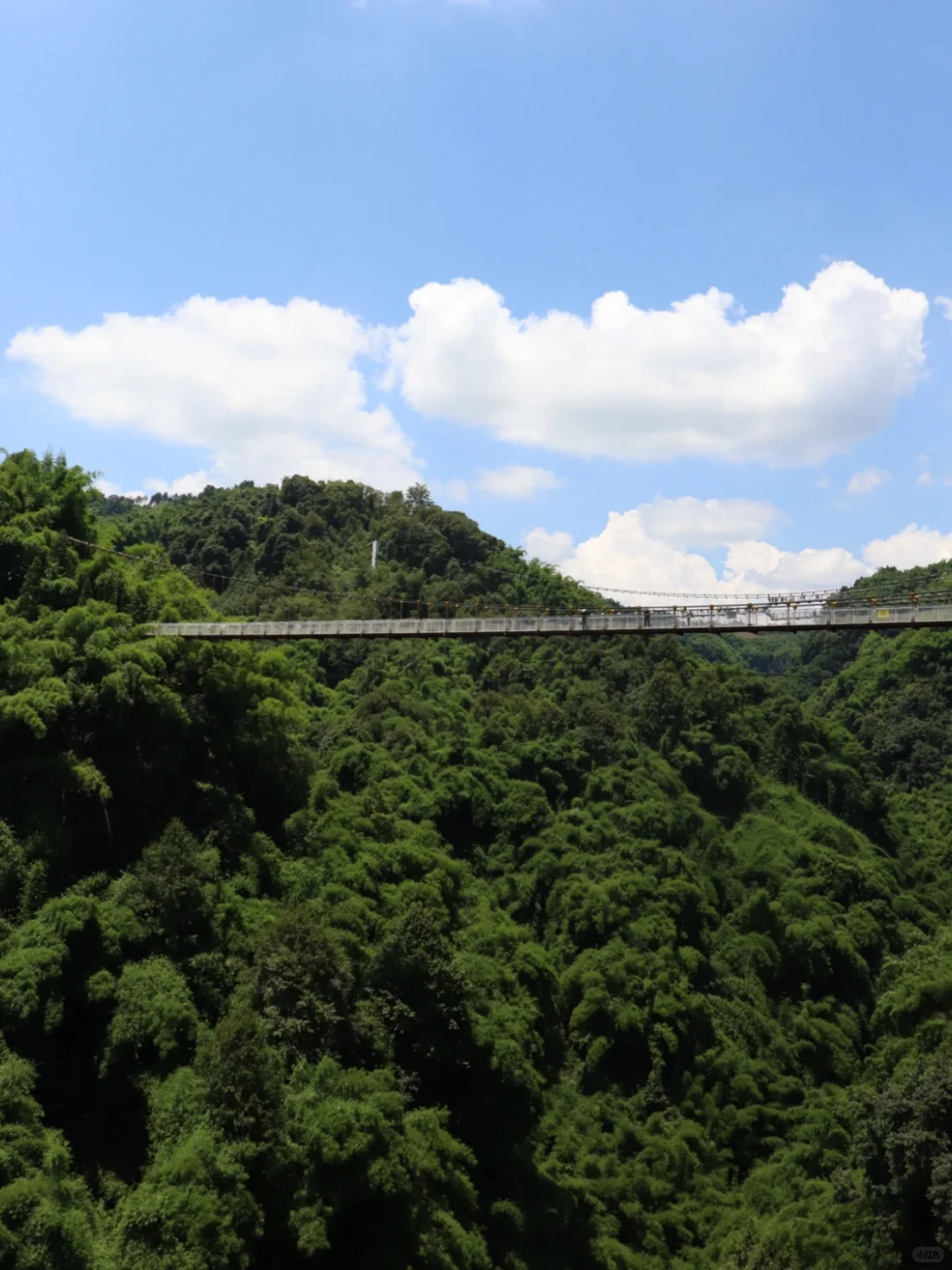 川西竹海📍1h直达，玻璃天桥直通云端！