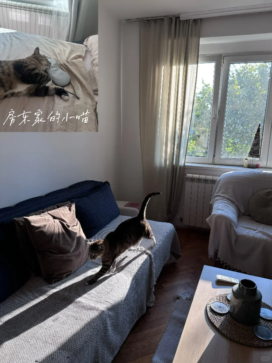 塞尔维亚｜一个人的南斯拉夫旧梦