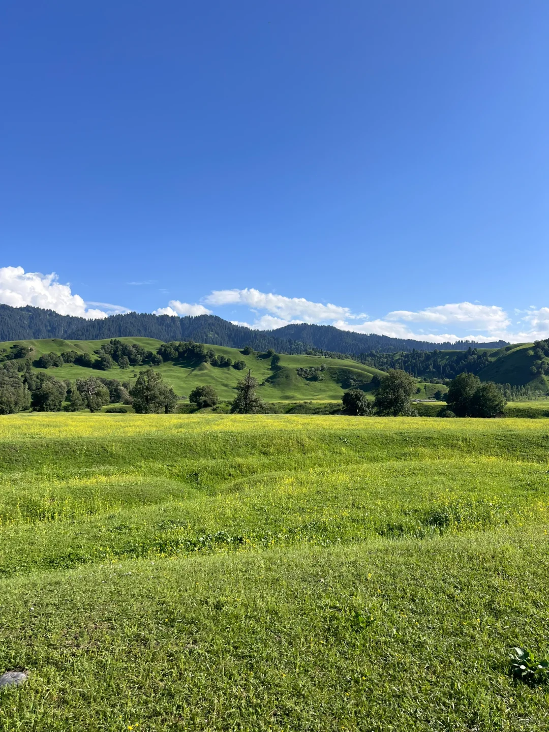 6月24日 那拉提 ~ 新疆游