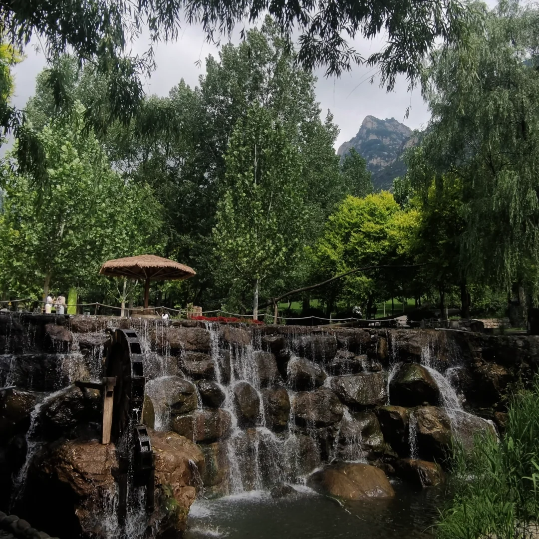 🌲 天津出发！带老小自驾避暑仙境🥰